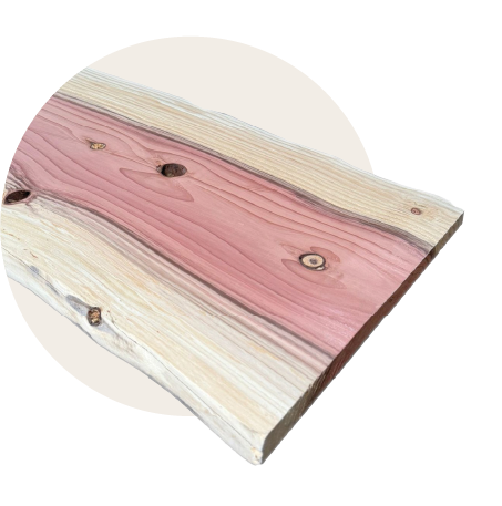 KSH - Voorpag - Homecat 05 - Houten Boekenplank