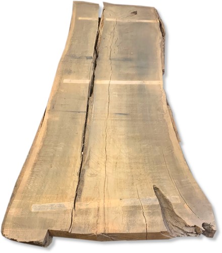 Boomstamblad | Eik | 318cm lang | 10cm dik |  B11
