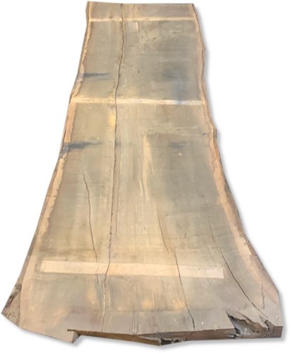 Boomstamblad | Eik | 316cm lang | 14.5cm dik |  B12
