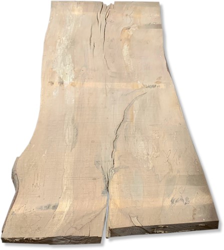 Boomstamblad | Beuk | 250cm lang | 9.5cm dik |  B16