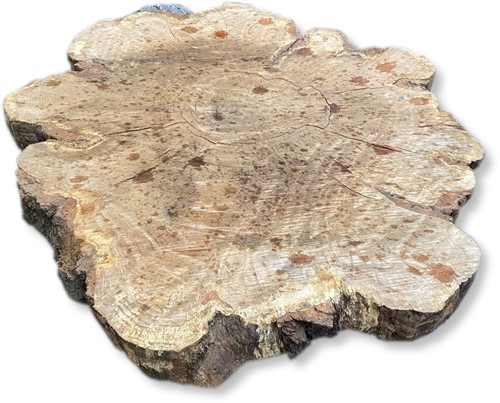 Boomstamblad Rond | Eik | Ø130cm | 12cm dik | R01