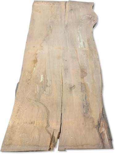 Boomstamblad | Beuk | 250cm lang | 10cm dik | N08