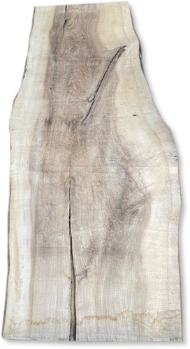 Boomstamblad | Es | 242cm lang | 8cm dik | E11