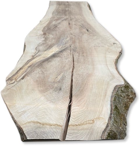 Boomstamblad | Es | 265cm lang | 10cm dik | E06