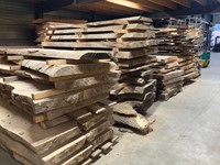 Boomstamblad | Es | 265cm lang | 10cm dik | E06-3