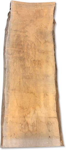 Boomstamblad | Plataan | 250cm lang | 10cm dik |  M10