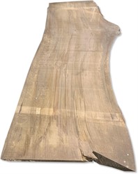 Boomstamblad | Beuk | 208cm lang | 7,5cm dik |  M12