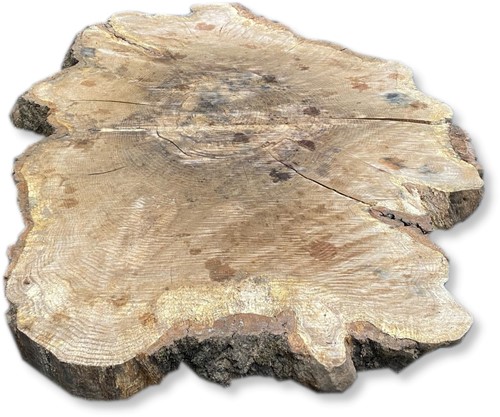 Boomstamblad Rond | Eik | Ø130cm | 10cm dik | R03