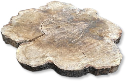 Boomstamblad Rond | Eik | Ø133cm | 10cm dik | R08
