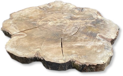 Boomstamblad Rond | Eik | Ø133cm | 10cm dik | R09