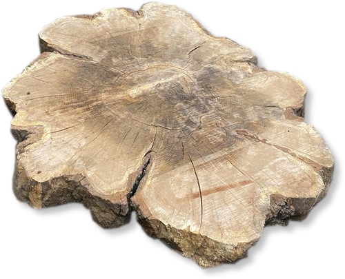 Boomstamblad Rond | Eik | Ø138cm | 12cm dik | R15