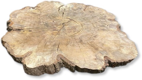 Boomstamblad Rond | Eik | Ø143cm | 9cm dik | R14