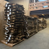 Boomstamblad | Es | 255cm lang | 6cm dik | E01-3