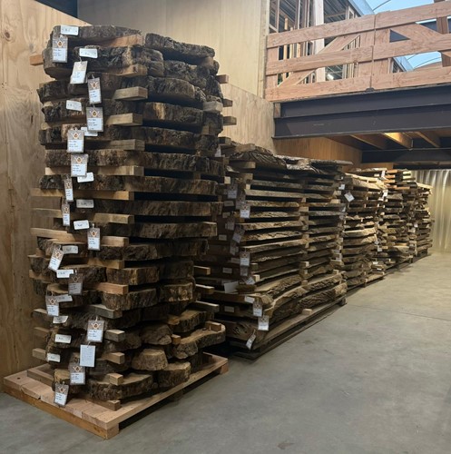 Boomstamblad | Es | 255cm lang | 6cm dik | E01-3