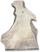 Boomstamblad | Es | 255cm lang | 6cm dik | E01