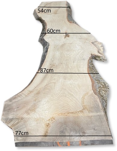 Boomstamblad | Es | 255cm lang | 6cm dik | E01-2
