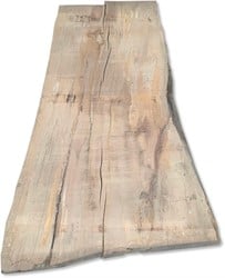 Boomstamblad | Beuk | 250cm lang | 10cm dik | N11