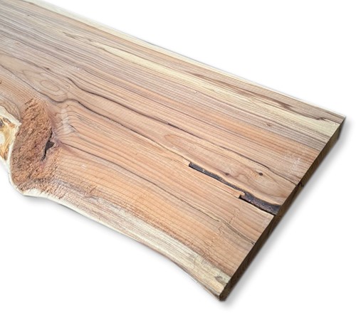 Taxus boekenplank | 3x20cm (30x200mm) | 1.22m | SH41